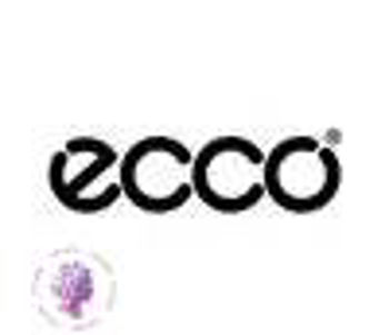 اکو-ECCO