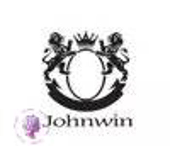 جانوین-Johnwin