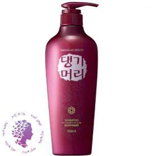 شامپو گیاهی مناسب موهای نرمال و خشک حجم 500 میل ا DAENG GI MEO RI DOORI SHAMPOO FOR NORMAL TO DRY SCALP