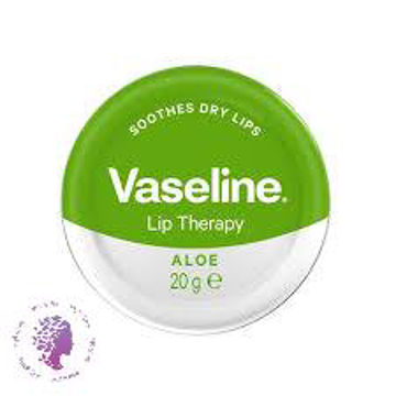 بالم لب کاسه ای آلوئه ورا  Aloe Vera