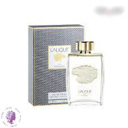 عطر ادکلن پور هوم -لالیک شیر | Pour Homme EDP