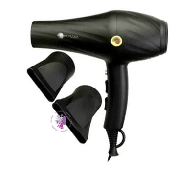 سشوار حرفه ای 2600وات AC9820 پوتنزا