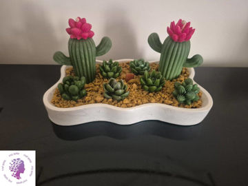 ظرف کاکتوس