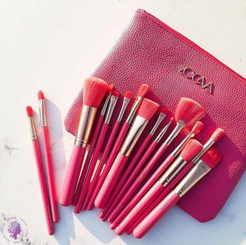 ست براش 14 تکه کیف دار رنگ سرخابی