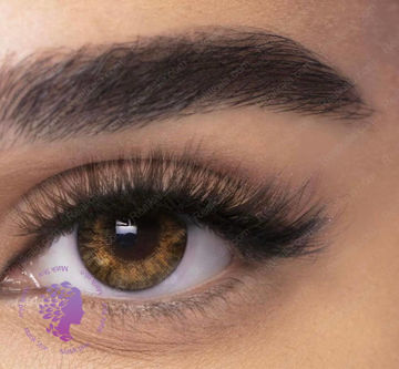 لنز رنگی روزانه عسلی، فندقی Lens Pure Hazel